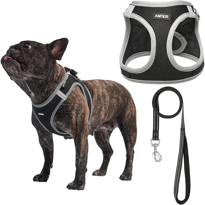 AMTOR Small Dog Harness with Leash Set, No Escape Easy Walk Puppy Harnesses for Training Walking, Step-in Reflective Soft Dogs Vest for XS S Medium Extra-Small Large Sized Dog(Black/Grey) AMTOR