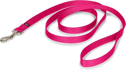 PetSafe Nylon Dog Leash – Strong, Durable, Traditional Style Leash with Easy to Use Bolt Snap for Small, Medium and Large Dogs - 3/4 in. x 6 ft., Raspberry PetSafe