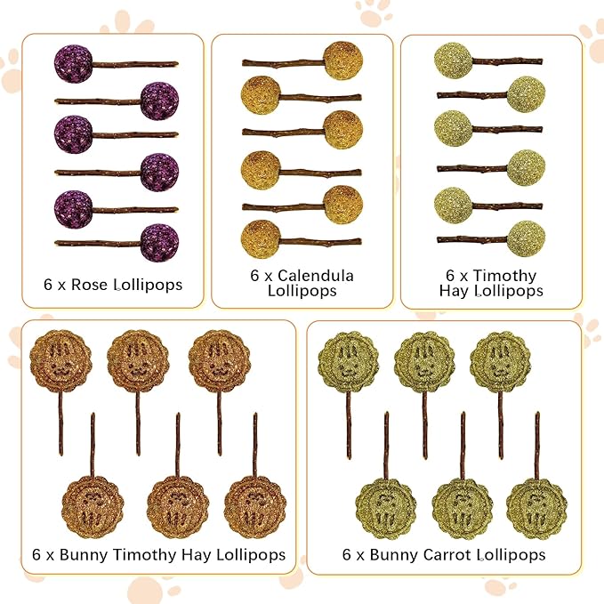 Fhiny Rabbit Chew Toys, 30 PCS Natural Bunny Lollipop Chew Sticks Handmade Guinea Pig Molar Treats for Teeth Small Animals Snacks for Guinea Pig Bunny Chinchilla Hamster Gerbil Teeth Care Fhiny