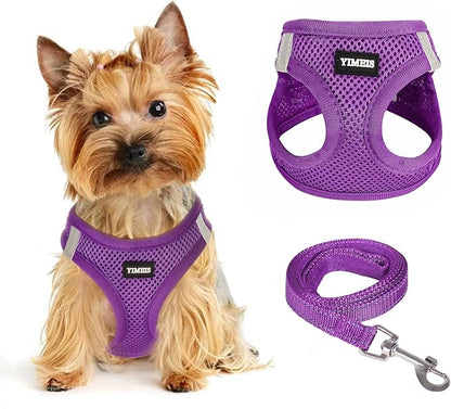 Dog Harness for Small Dogs, Small Dog Harness and Leash Set, Honeycomb Grid, Reflective Lightweight Harness & Anti-Twist Pet Lead,Dog Harness(Multi Color, Size: XS-S-M) (XS, Purple) PAWPICO