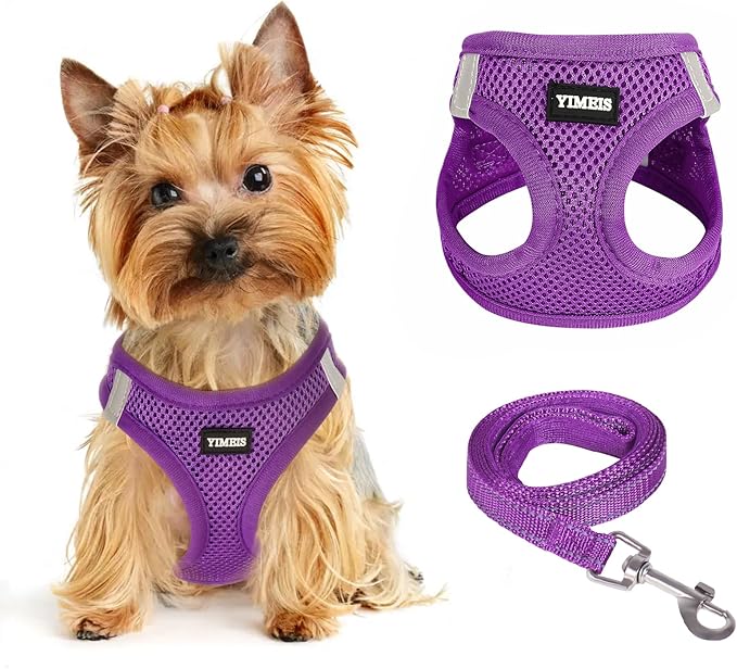 Dog Harness for Small Dogs, Small Dog Harness and Leash Set, Honeycomb Grid, Reflective Lightweight Harness & Anti-Twist Pet Lead,Dog Harness(Multi Color, Size: XS-S-M) (M, Purple) PAWPICO