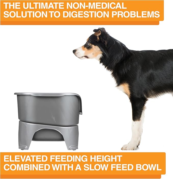 Neater Feeder - Express Model w/ Slow Feed Bowl - Mess-Proof Dog Bowls (M/L, Grey) Made in USA – Elevated, No Spill, Non-Tip, Non-Slip, Raised Stainless Steel Food/Water Pet Bowls Aid Digestion - PAWPICO