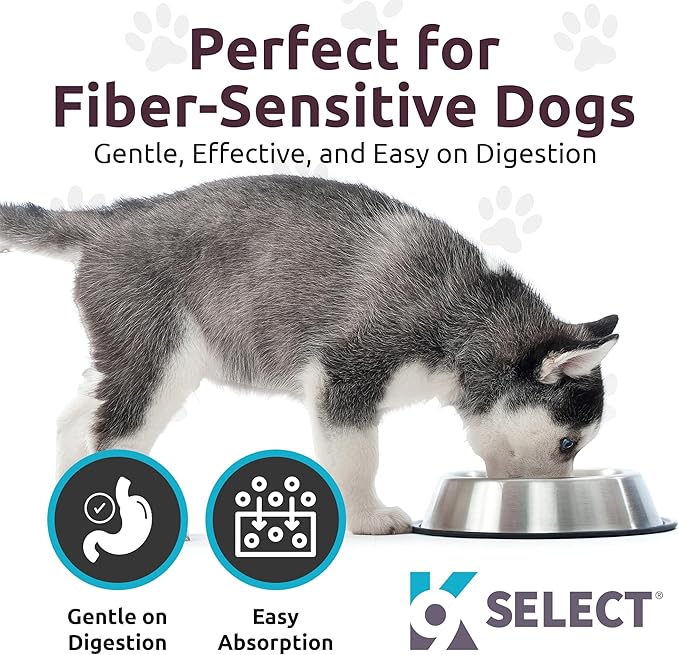 K9 Select HMR Lignans for Dogs - Enhancer for Overall Wellness, Immune Support for Dogs - Norway Spruce Extract Holistic Dog Health - Digestion, & Coat Care - Peanut Butter, 20mg, 90 Tablets LignansForLife