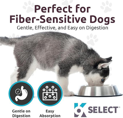 K9 Select HMR Lignans for Dogs - Enhancer for Overall Wellness, Immune Support for Dogs - Norway Spruce Extract Holistic Dog Health - Digestion, & Coat Care - Peanut Butter, 20mg, 90 Tablets LignansForLife