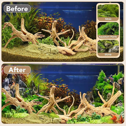 Natural Small Spiderwood Driftwood for Aquarium Decor Rptile Fish Tank Decoration Assort Branch 4-7'' 8 Pcs Jorewood