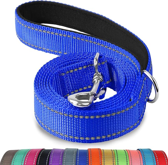 Joytale Double-Sided Reflective Dog Leash, 6 FT/5 FT/4 FT, Padded Handle Nylon Heavy Duty Leashes for Small & Medium Dogs Walking, Navy Blue, 5FT Joytale