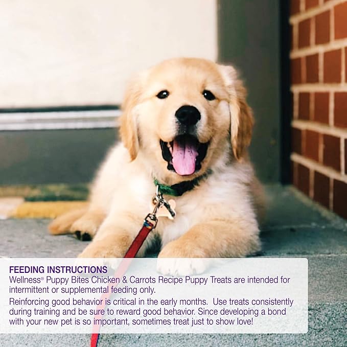 Wellness Crunchy Puppy Bites Natural Grain-Free Treats for Training, Dog Treats with Real Meat and DHA, No Artificial Flavors (Crunchy Chicken & Carrots, 6-Ounce Bag) - PAWPICO