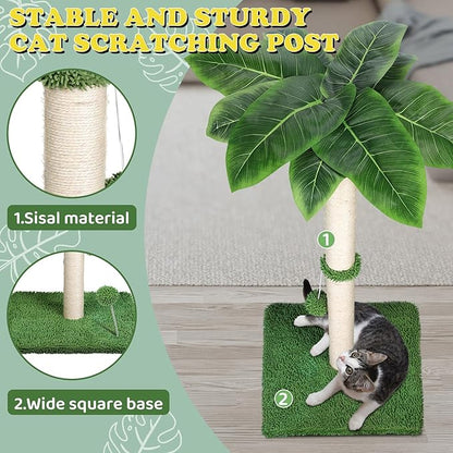 Cat Scratch Post for Indoor Cats Adults,33.5” H Sisal Scratching Post for Kitten & Large Cat, Cat Scratch Post with Spring Ball,Green - PAWPICO