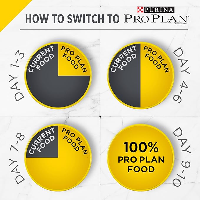 Purina Pro Plan Small Breed Senior Dog Food Bright Mind Seven Plus Chicken and Rice Formula - 5 lb. Bag - PAWPICO