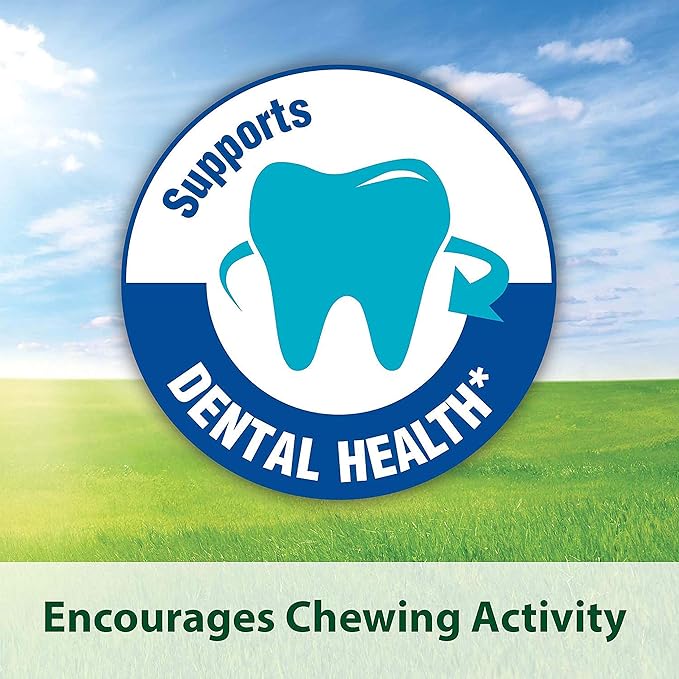 Kaytee Timothy Complete Rabbit Food 4.5 lb Kaytee