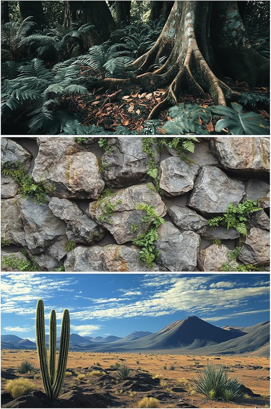 3 Pack Terrarium Background, 36x18 inches Polyester Reptile Background, Cloth Terrarium Background, Tropical Green Tree Fern & Gobi Desert Sunshine Cactus Rock Terrarium Background COMSUN
