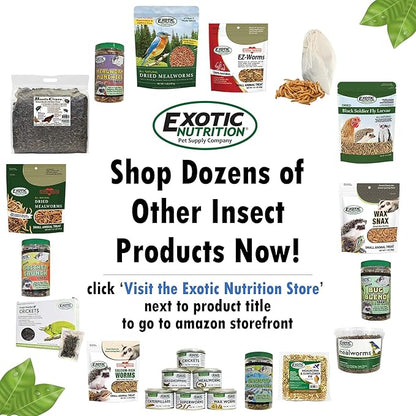 1.5 Pound Dried Crickets - High Protein Insect Treat - Chickens, Wild Birds, Hedgehogs, Bluebirds, Reptiles, Sugar Gliders, Opossums, Skunks, Lizards, Bearded Dragons, Fish, Turtles 8 oz. (3 Pack) ExoticNutrition