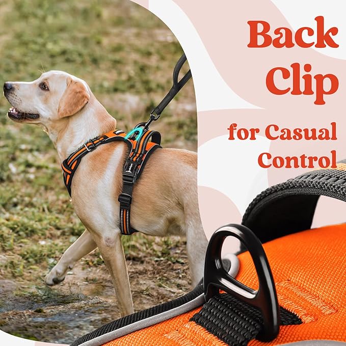 rabbitgoo Dog Harness Medium Sized, No Pull Pet Harness with 3 Buckles, Adjustable Soft Padded Pooch Vest with Instant Control Handle, Easy Walking Reflective Pet Vest for Medium Dogs, Orange, M - PAWPICO