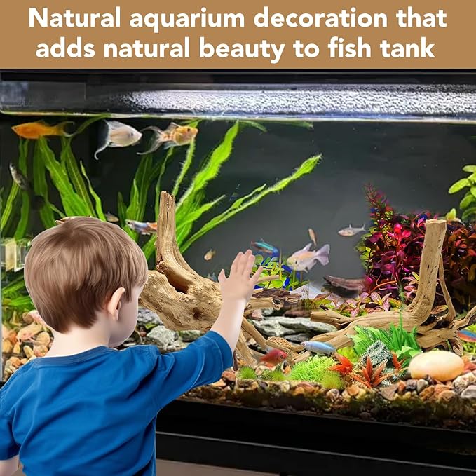 Natural Large Coral Spiderwood Driftwood for Aquarium Decor Rptile Fish Tank Decoration Assort Branch 11-14'' 2 Pcs Jorewood