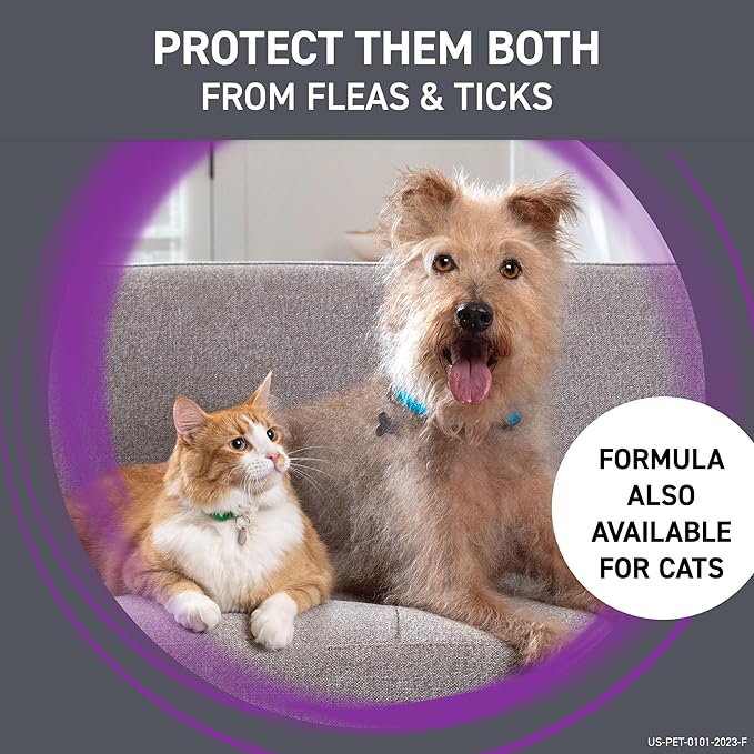 Frontline Plus Flea and Tick Treatment for Small Dogs Upto 5 to 22 lbs. 3 Treatments FRONTLINE%C2%AEBrandProducts