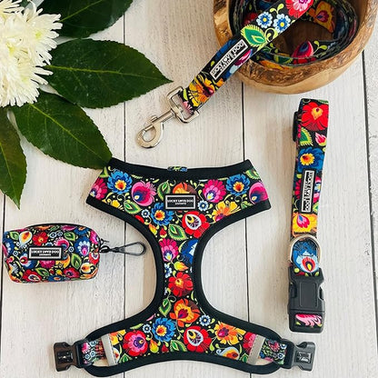 Lucky Love Dog - Adjustable Dog Collar with Easy Click Buckle for Small to Large Dogs, Durable, & Comfortable Collar for Male & Female Dogs, Pet Collar for Puppies & Adult Dogs - Blackbird, X-Small LuckyLoveDog