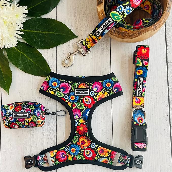 Lucky Love Dog - Easy Click Buckle Dog Collar with Leash Set Combo, Durable & Comfortable Collar for Male & Female Dogs, Pet Collar for Small to Large Dogs, Secure Fit - Blackbird Combo, Large LuckyLoveDog