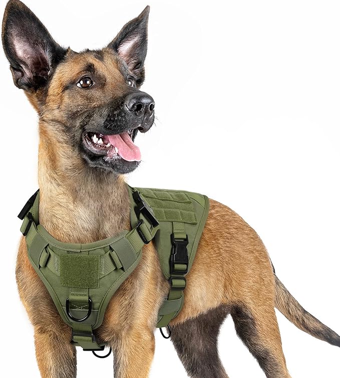 rabbitgoo Tactical Dog Harness for Small, Heavy Duty Pet Harness with Handle, No-Pull Service Vest Small Breed, Adjustable Military Dog Vest for Training Hunting Walking, Green, S rabbitgoo