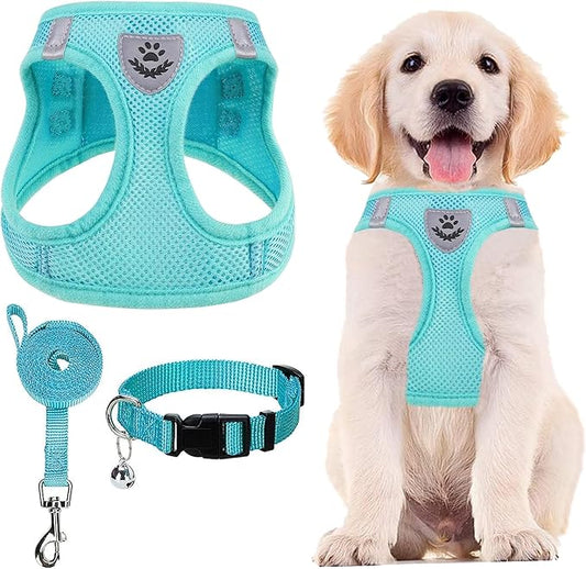 PUPTECK Adjustable Dog Harness Collar and Leash Set Step in No Pull Pet Harness for Small Medium Dogs Puppy and Cats Outdoor Walking Running, Soft Mesh Padded Reflective Vest Harnesses, Turquoise S PUPTECK