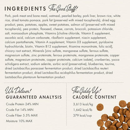 Fromm Four-Star Nutritionals Pork & Applesauce Dog Food - Premium Dry Dog Food - Pork Recipe - 12 lb - PAWPICO