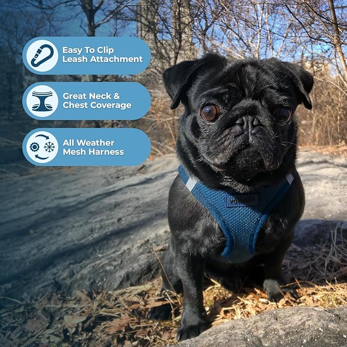 Voyager Step-in Air Dog Harness - All Weather Mesh, Reflective, No Pull Harness for Small, Medium Dogs, Cats - Secure with Hook & Loop Fastener, Buckle, Double D-Rings - Blue, S BestPetSuppliesLLC