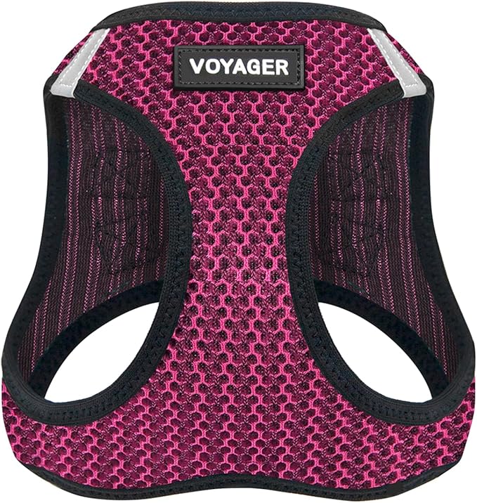 Voyager Step-in Air Dog Harness - All Weather Mesh, Reflective, No Pull Harness for Small, Medium Dogs, Cats - Secure with Hook & Loop Fastener, Buckle, Double D-Rings - Fuchsia 2-Tone, M BestPetSuppliesLLC