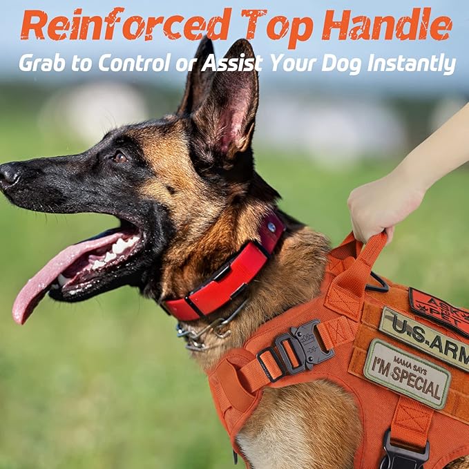 rabbitgoo Tactical Dog Harness for Large, Heavy Duty Pet Harness with Handle, No-Pull Service Vest Large Breed, Adjustable Military Dog Vest for Training Hunting Walking, Orange, XL rabbitgoo