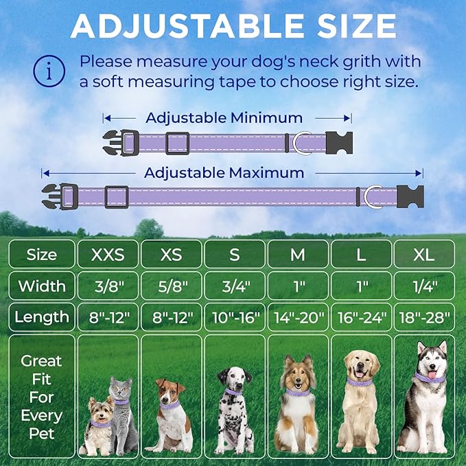 TECEUM Reflective Pet Collar – Lavender – L – Basic Nylon Dog Collar – Quick Release Buckle – Fits Small, Medium and Large Dogs, Puppies, Cats – ESA & Service Dog Options TECEUM
