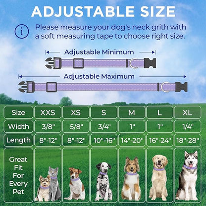 TECEUM Reflective Pet Collar – Lavender – XL – Basic Nylon Dog Collar – Quick Release Buckle – Fits Small, Medium and Large Dogs, Puppies, Cats – ESA & Service Dog Options TECEUM