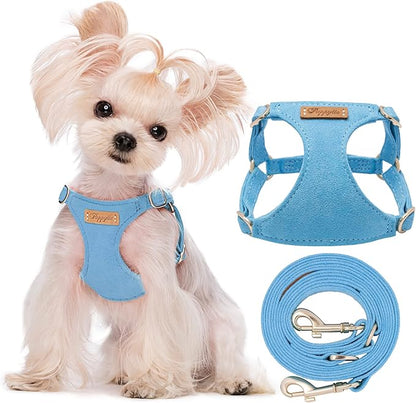 Puppytie No Pull xs Dog Harness with Multifunction Dog Leash,Soft Adjustable No Choke Escape Proof Pet Harness Vest,Ocean Blue,XS Puppytie