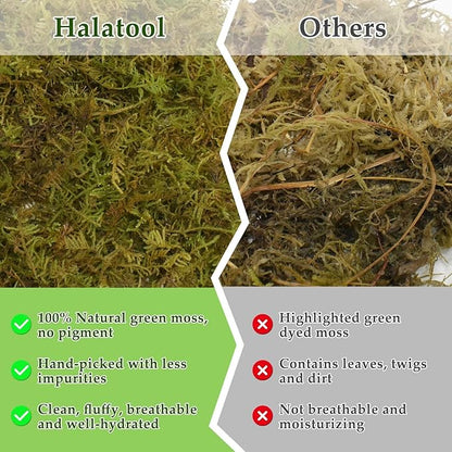 Halatool 9OZ Natural Sphagnum Moss for Reptiles- 14QT Green Live Moss for Terrarium Plants Long Fiber Reptile Moss for Leopard Gecko Snake Hamsters Tortoises Frogs Lizards Salamanders HALATOOL