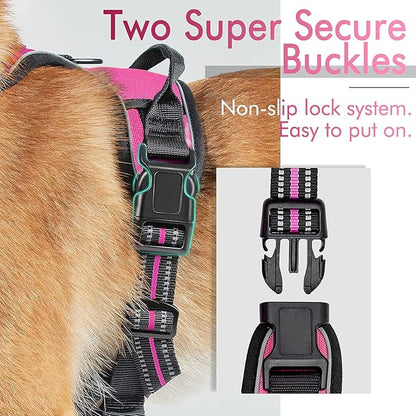 rabbitgoo Dog Harness, No-Pull Pet Harness with 2 Leash Clips, Adjustable Soft Padded Dog Vest, Reflective No-Choke Pet Oxford Vest with Easy Control Handle for Medium Dogs, Hot Pink, M - PAWPICO