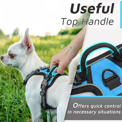 Eagloo Small Dog Harness No Pull, Service Vest with Reflective Strips and Control Handle, Adjustable and Comfortable for Easy Walking, No Choke Pet Harness with 2 Metal Rings, Sky Blue, XS GoExplorewithEagloo