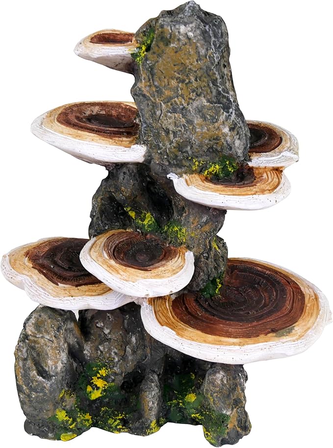 Penn-Plax Deco-Replicas Tree Trunk with Shelf Mushrooms Aquarium Decoration – Safe for Freshwater and Saltwater Fish Tanks – Medium Penn-Plax