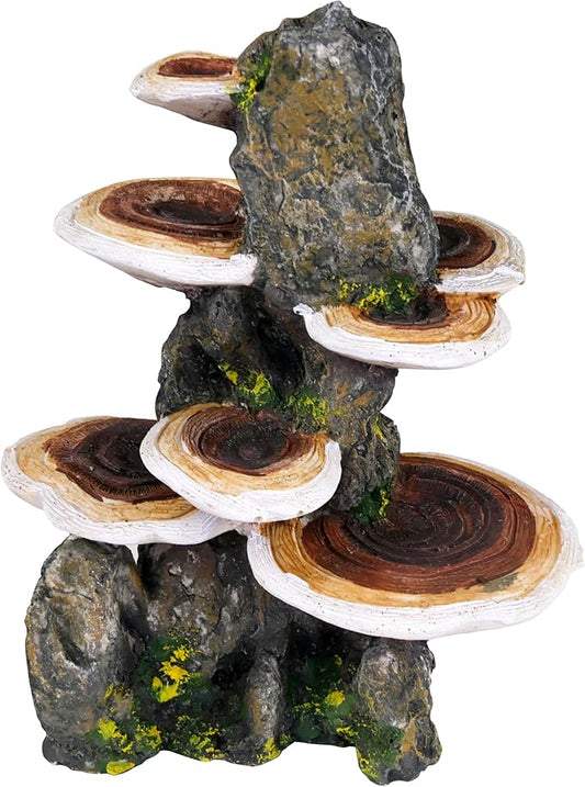 Penn-Plax Deco-Replicas Tree Trunk with Shelf Mushrooms Aquarium Decoration – Safe for Freshwater and Saltwater Fish Tanks – Medium Penn-Plax