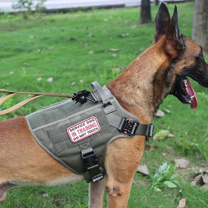 ICEFANG Tactical Dog Harness,Large Size, 2X Metal Buckle,Working Dog MOLLE Vest with Handle,No Pulling Front Leash Clip,Hook and Loop Panel - PAWPICO