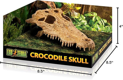 Exo Terra Croc Skull Terrarium Decor LQ - Ideal for Reptiles & Amphibians | Secure Hiding Place, Multiple Entrances, Perfect for Desert & Rainforest Setups | Adds Exciting Accent to Any Habitat ExoTerra