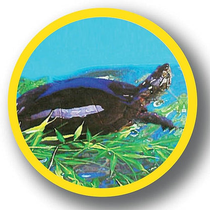 Marineland Bamboo 3 Feet, Décor For aquariums and Terrariums, Model:47431905481 Marineland
