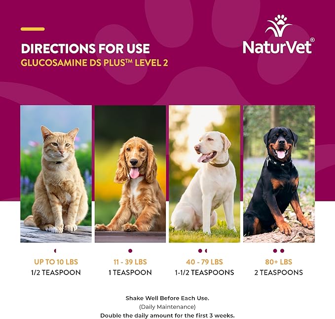 NaturVet Glucosamine DS Plus Hip & Joint Support Liquid Pet Supplement – Level 2 Moderate Care for Dogs & Cats – Includes Glucosamine, MSM, Chondroitin – 16 Oz NaturVet
