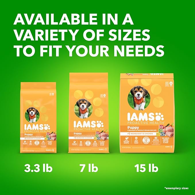 IAMS Smart Puppy Dry Dog Food with Real Chicken, 15 lb. Bag - PAWPICO
