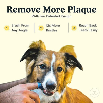 Jasper Dog Toothbrush, 360º Dog Tooth Brushing Kit, Cat Toothbrush, Dog Teeth Cleaning, Dog Finger Toothbrush, Dog Tooth Brush for Small & Large Pets, Dog Toothpaste Not Included, 4-Pack Neon JASPER%C2%AE