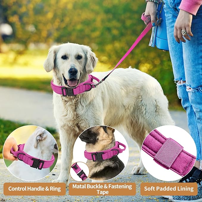 Tactical Dog Collar Heavy Duty Metal Buckle with Handle for Dog Training (Pink, M) - PAWPICO