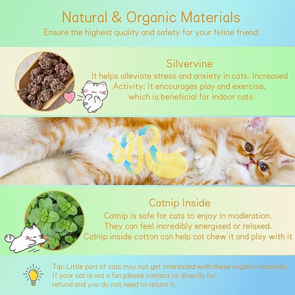 SEVENKA 2 Pack Cat Toys Self-Grooming Cat Brush with 3 Catnip Balls & 3 Gall Fruit, Kitty Kitten Scratcher Self Groomer Catnip Toys for Indoor Cats, Chew Toys Wall Corner Brushes Edible Wall Treats - PAWPICO