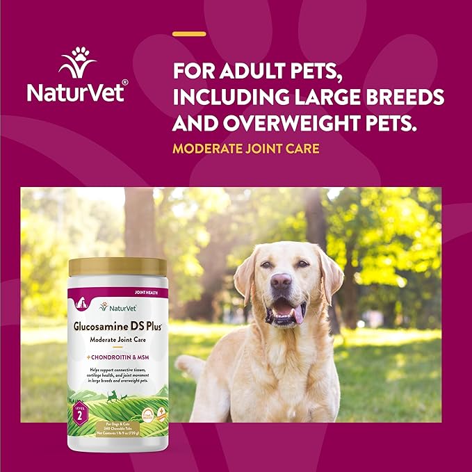 NaturVet Glucosamine DS Plus Level 2 Moderate Care Joint Support Supplement for Dogs and Cats, Chewable Tablets Time Release, Made in The USA, 240 Count NaturVet