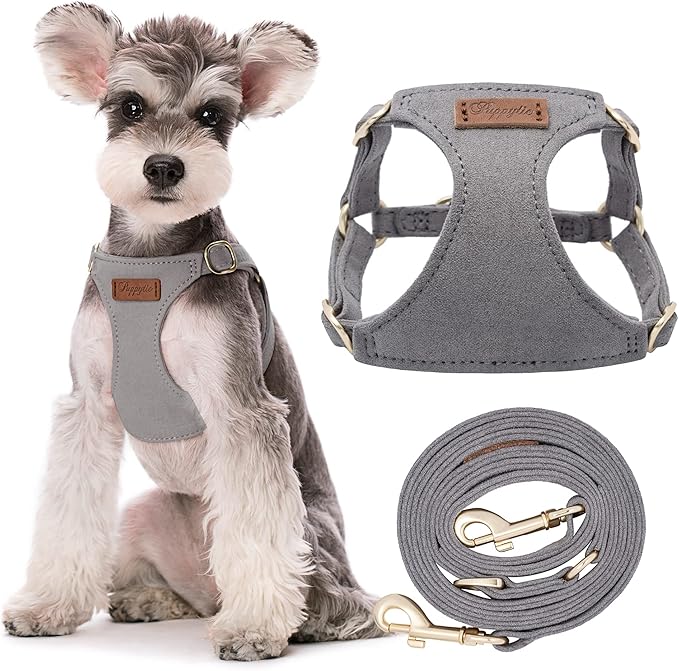 Puppytie No Pull Small Dog Harness with Multifunction Dog Leash,Lightweight Soft Adjustable No Choke Escape Proof Pet Harness Vest Pet Harness Vest,Silver Grey,S Puppytie