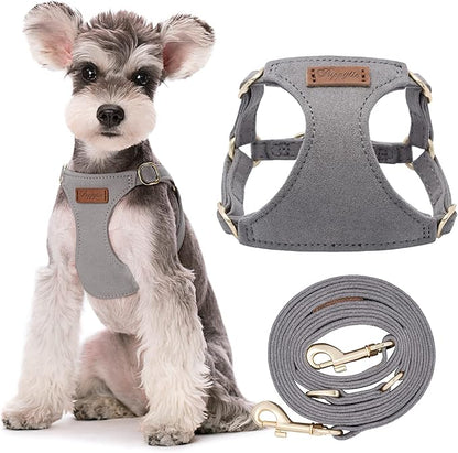 Puppytie No Pull Small Dog Harness with Multifunction Dog Leash,Lightweight Soft Adjustable No Choke Escape Proof Pet Harness Vest Pet Harness Vest,Silver Grey,S Puppytie