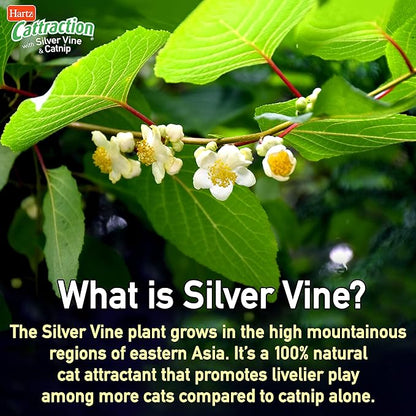 Hartz Cattraction with Silver Vine & Catnip Koi Dangler - PAWPICO