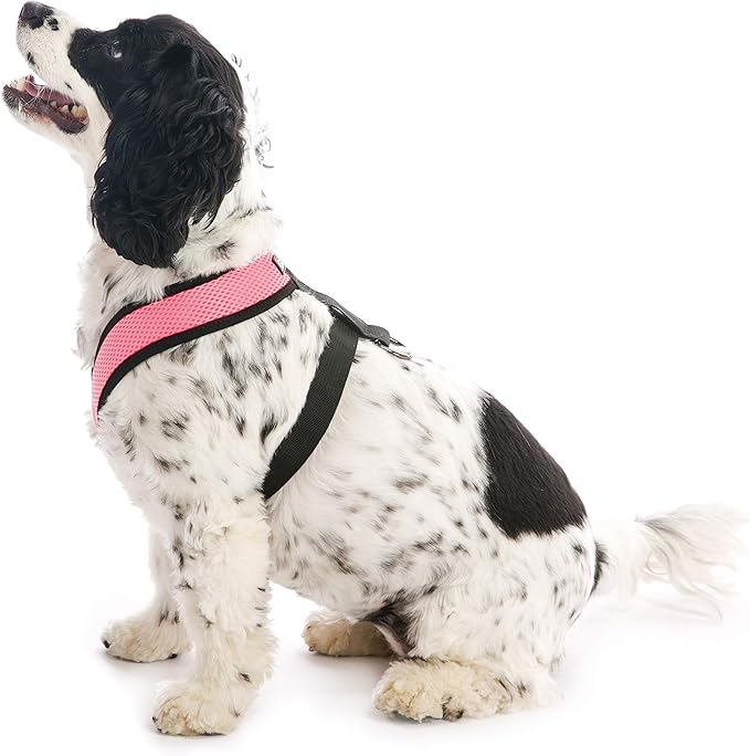 Gooby Comfort X Head In Harness - Pink, X-Large - No Pull Small Dog Harness Patented Choke-Free X Frame - Perfect on the Go Dog Harness for Medium Dogs No Pull or Small Dogs for Indoor and Outdoor Use Gooby