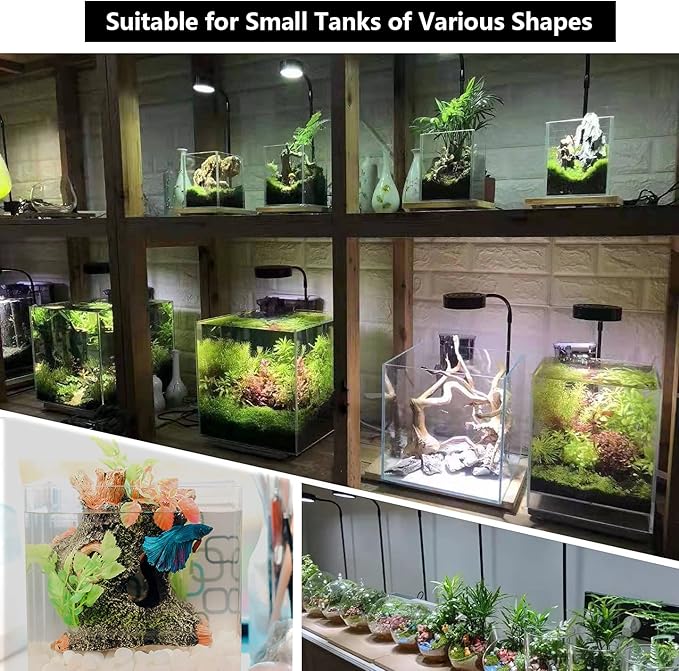 Aquarium Light Full Spectrum LED, for Under 7 Gallon Fish Tank, Light with Timer Auto On/Off, Betta Fish Tank,Indoor Plant Growth, Potted Plants, Succulent, Miniature Gardening Landscape (9) AREPK