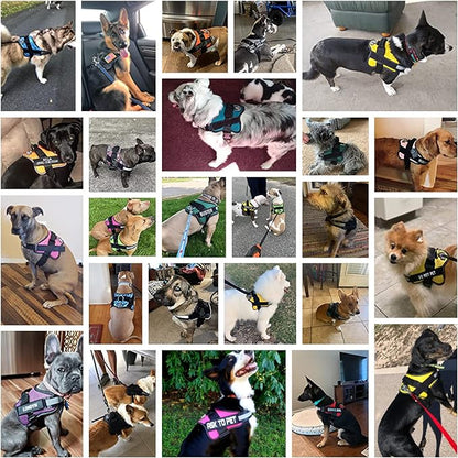 Bolux Dog Harness, No-Pull Reflective Dog Vest, Breathable Adjustable Pet Harness with Handle for Outdoor Walking - No More Pulling, Tugging or Choking (Purple, M) Bolux